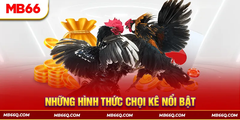 Khám phá những kiểu chọi kê đặc sắc có tại đá gà MB66