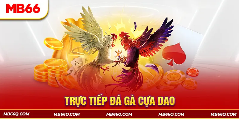 Trực Tiếp Đá Gà Cựa Dao - Những Trận Đấu Kịch Tính Tại MB66